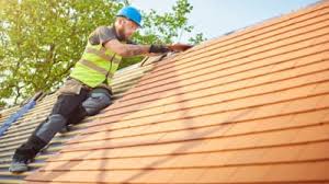 Best Sheet Metal Roofing  in Level Plains, AL