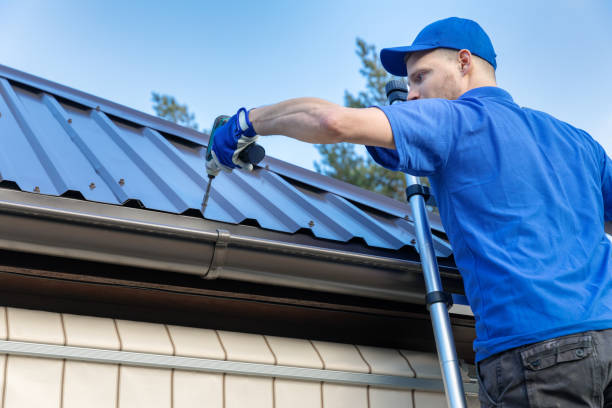 Best Roof Coating and Sealing  in Level Plains, AL