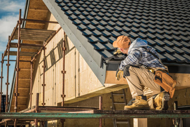 Best Roof Installation  in Level Plains, AL