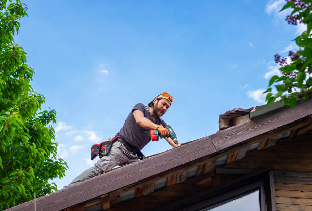 Best Tile Roofing Installation  in Level Plains, AL