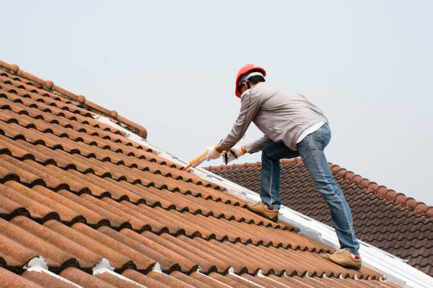 Best Emergency Roof Repair Services  in Level Plains, AL