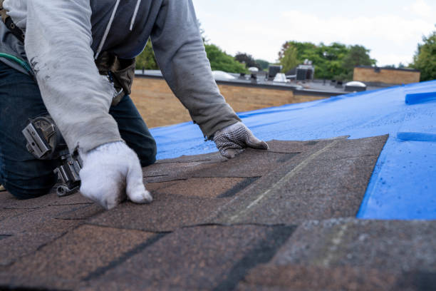 Best Green or Eco-Friendly Roofing Solutions  in Level Plains, AL