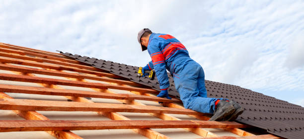 Best Roof Leak Repair  in Level Plains, AL