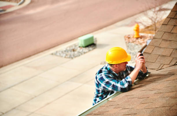 Best Green or Eco-Friendly Roofing Solutions  in Level Plains, AL