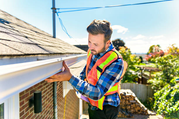 Gutter Replacement in Level Plains, AL