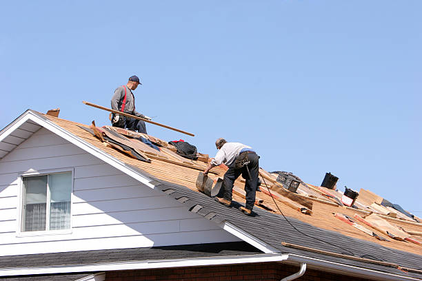 Best Flat Roofing  in Level Plains, AL