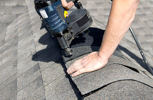 Best Metal Roofing Installation  in Level Plains, AL