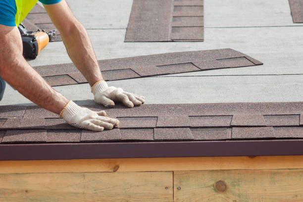 Best Solar Panel Roofing Installation  in Level Plains, AL