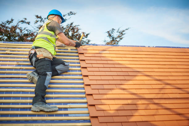 Emergency Roof Repair in Level Plains, AL